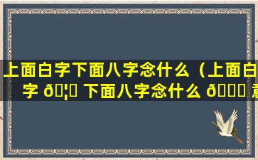 上面白字下面八字念什么（上面白字 🦆 下面八字念什么 🐛 意思）